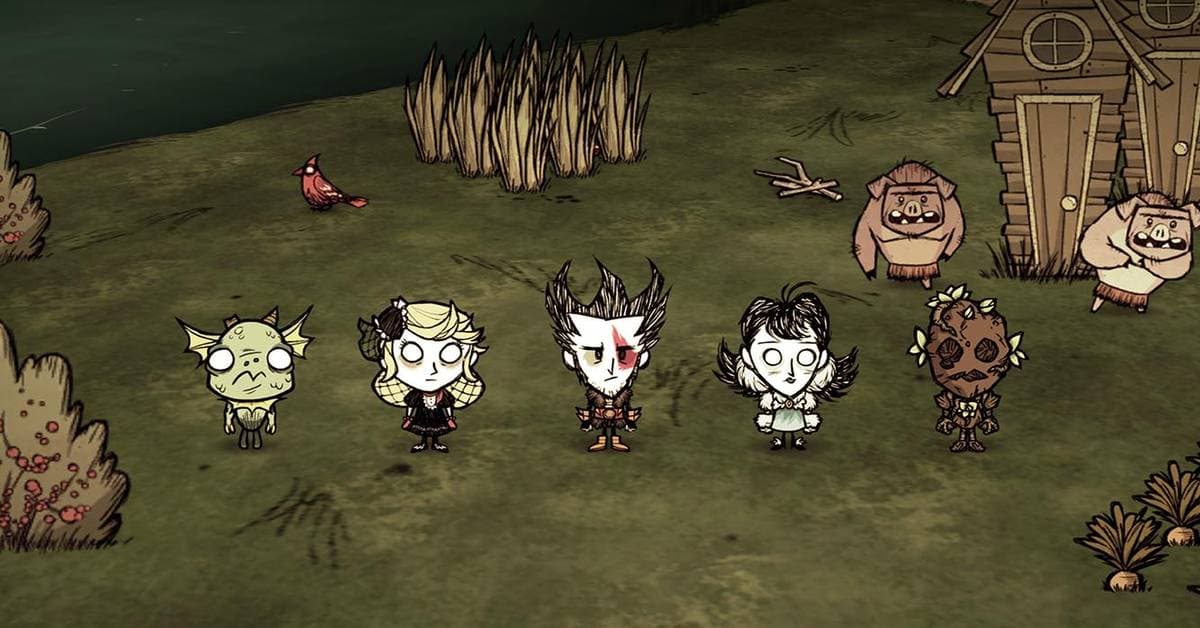 Don't Starve Together server hosting hero background