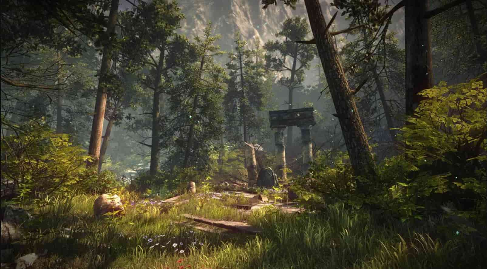 Sons of the Forest server hosting hero background