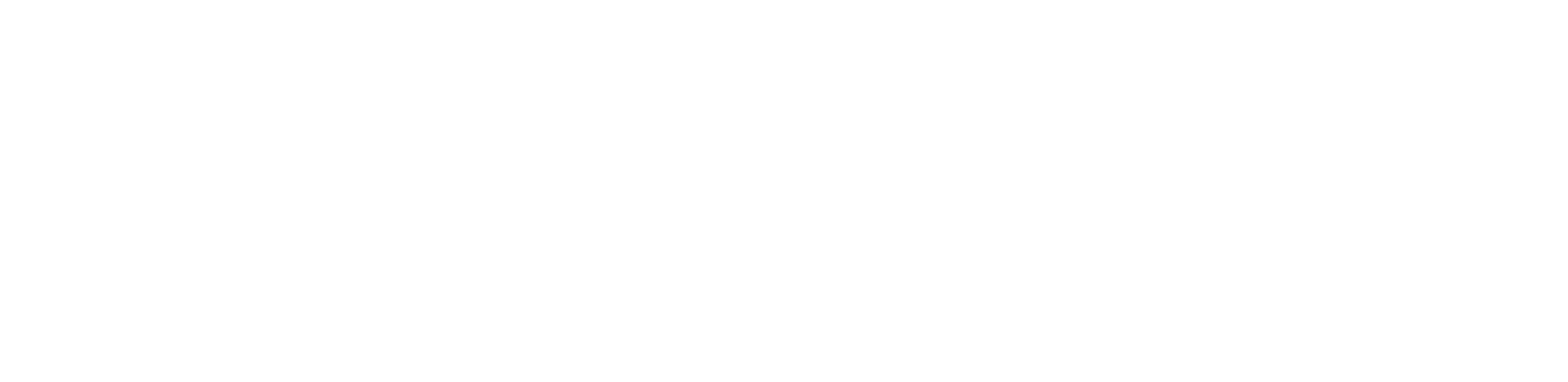 Logo White