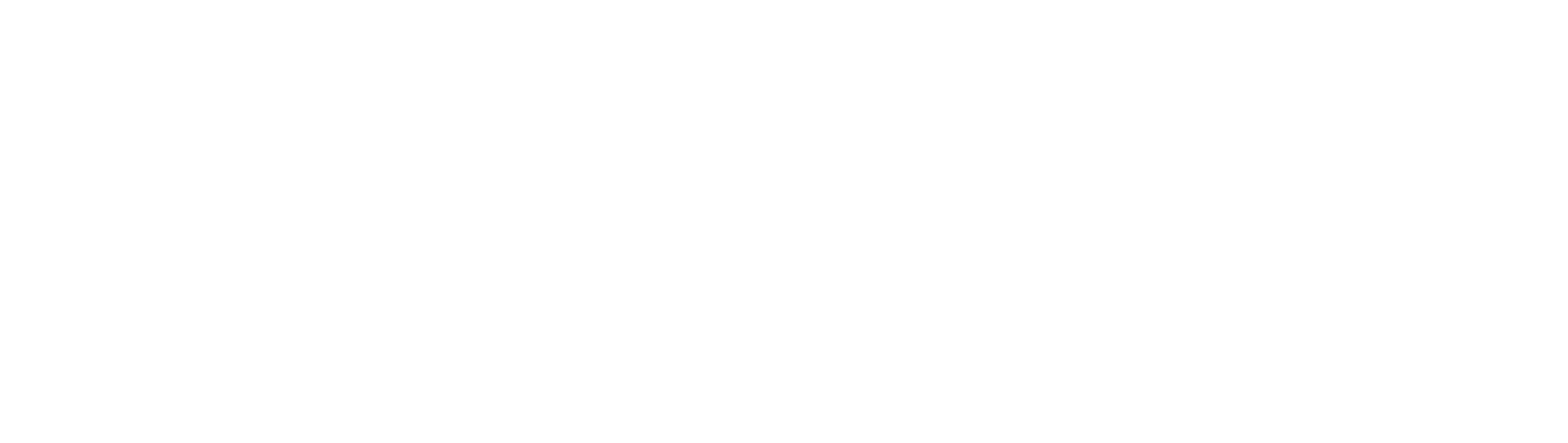 Wordmark White